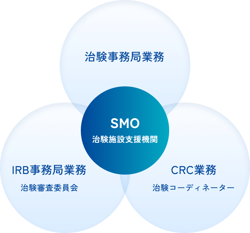 体制の図