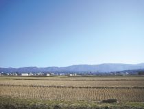 東山丘陵と悠久山を望む豊かな自然環境を楽しめます。 悠久山を望む環境